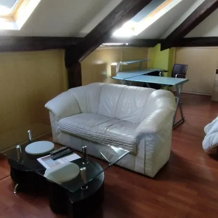 Grand Climatisé En Combles à 2 Pas De La Gare De Appartamento Nancy