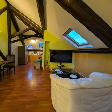 Grand Climatisé En Combles à 2 Pas De La Gare De * Nancy