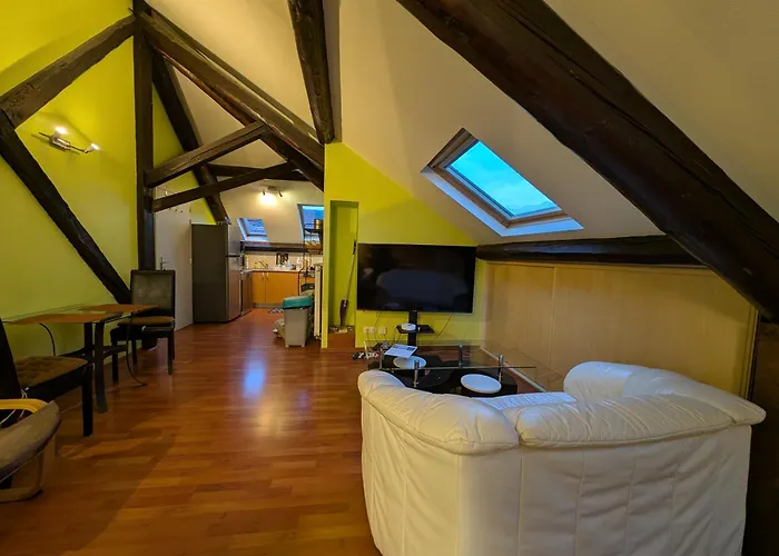 Grand Climatisé En Combles à 2 Pas De La Gare De * Nancy